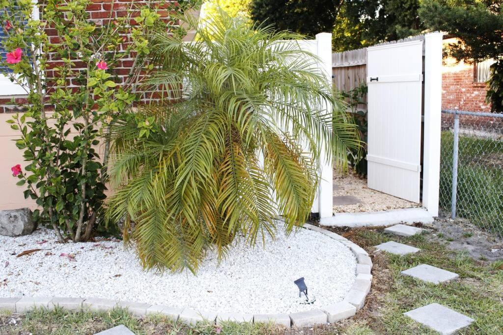 Torres Tiny Midtown Westtampa Rjs Apartment Tampa